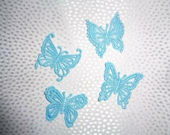 krajkoví motýlci